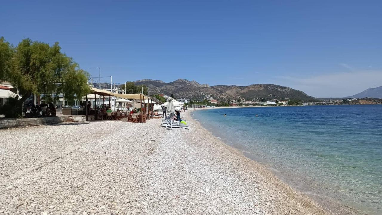 Апартаменти Alexadra'S House Κάτω Αλμυρή Екстер'єр фото