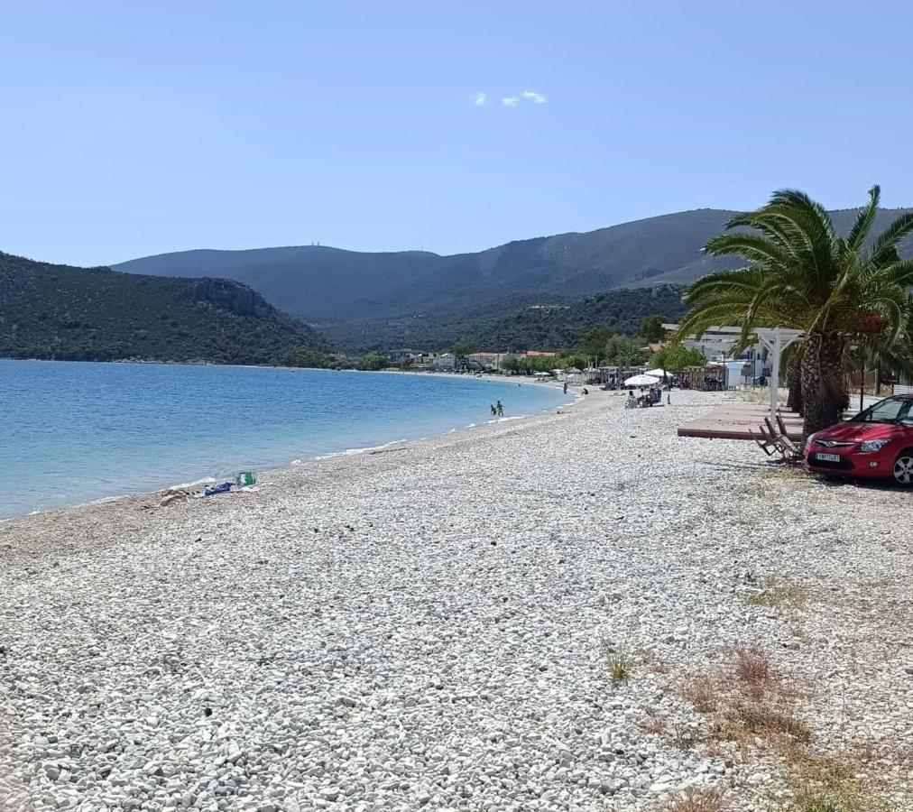 Апартаменти Alexadra'S House Κάτω Αλμυρή Екстер'єр фото